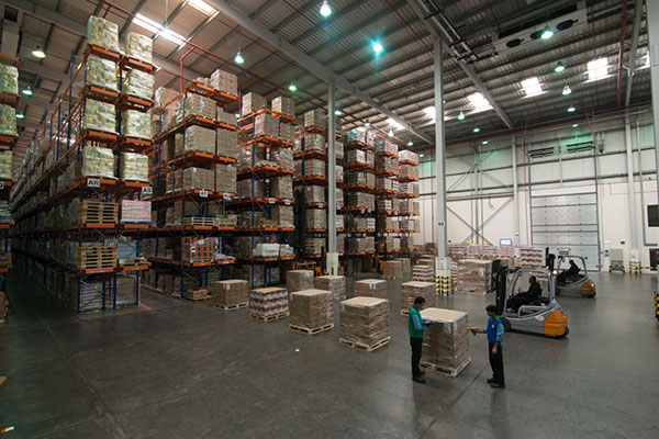 Storage services Dubai Prices, Types and How to Choose